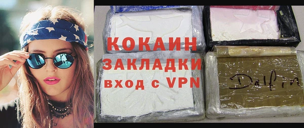 шишки Алзамай