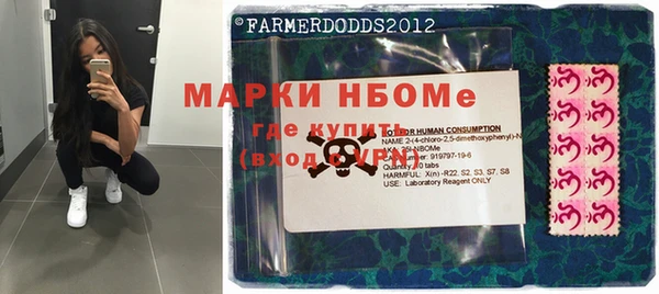 шишки Алзамай