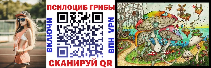 Галлюциногенные грибы Psilocybine cubensis Ленинск-Кузнецкий