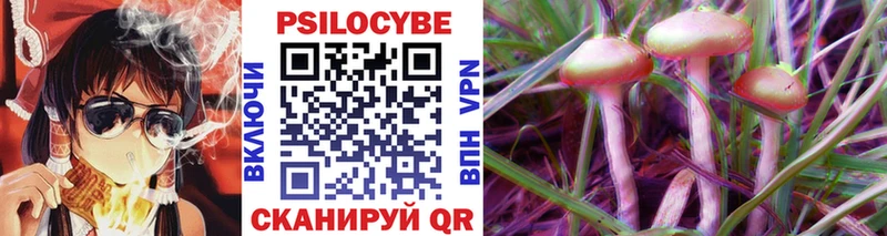 Псилоцибиновые грибы Cubensis  omg как войти  Ленинск-Кузнецкий  купить наркотики цена 