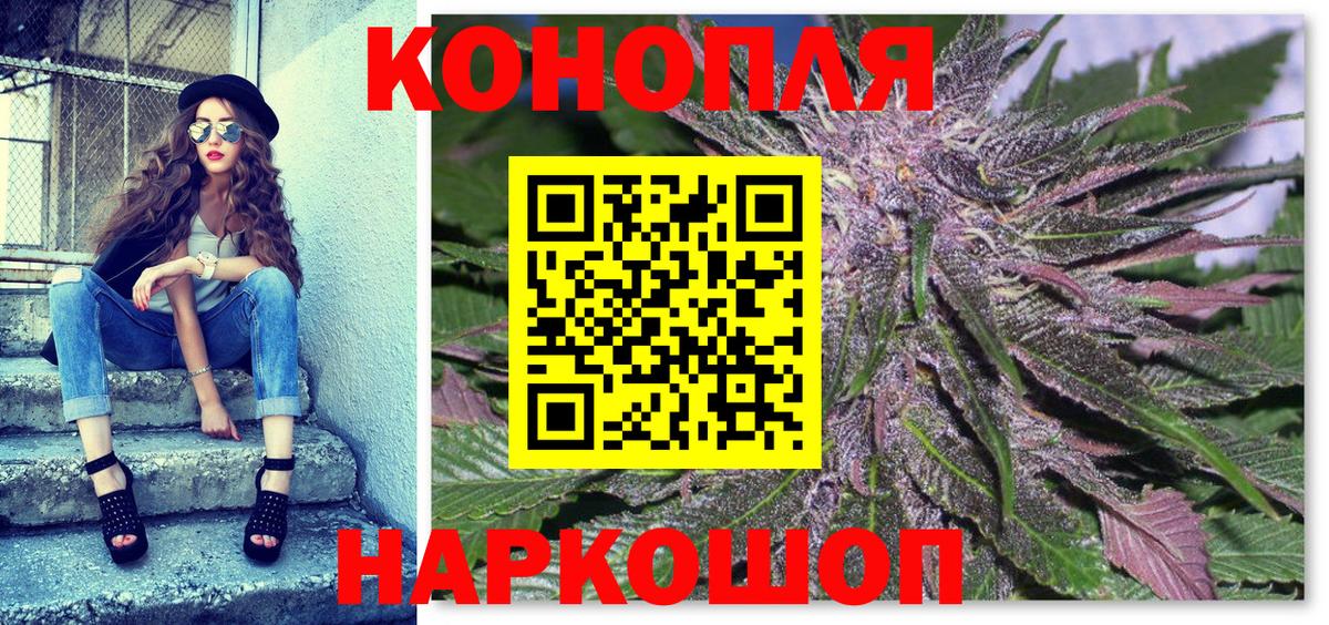 Канабис гибрид Ленинск-Кузнецкий